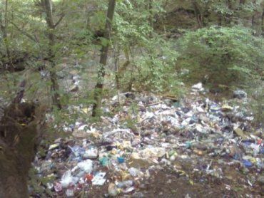 В Перечинском лесу все инвестиции утонули в груде мусора