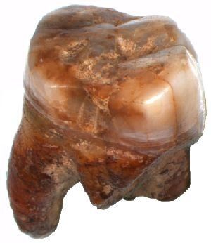 Археологи нашли в Карпатах зубы неадертальцев. Их возраст - 80-100 тыс. лет