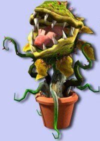 Ужгородська мерія - це гігантська зажерлива рослина