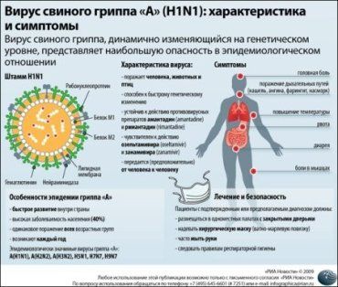 Свиной грипп в Украине не диагностируется! Нет денег...