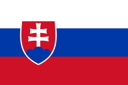 Семь кандидатов баллотируются на пост президента Словакии
