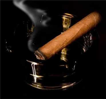 На Закарпатье посадят табак и сделают пробную партию сигар