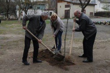 Два десятка деревьев высадили на Оноковской и Благоева