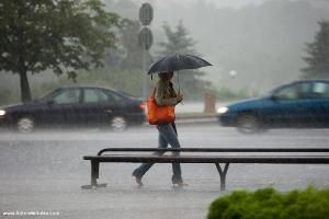 В Закарпатье пришла американская зима: дожди и ураганы каждый день