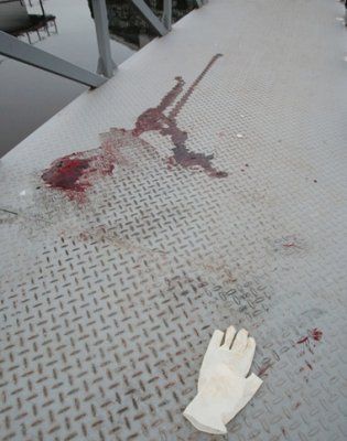 Зайцева убили прямо на трапе плавучих "Ивановских бань" в Киеве