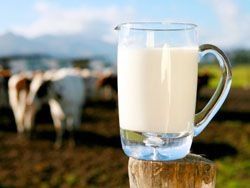Розничные цены на молоко выросли на 45%