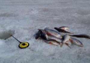 В Закарпатье запретили рыбачить зимой