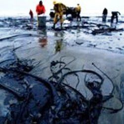 В Луганской области экологическая катастрофа: прорвал нефтепровод