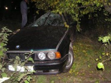 В Николаевской области легковой автомобиль врезался в дерево, в результате чего 2 человека погибло