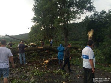 Падающие деревья перегородили дорогу в Перечинском районе