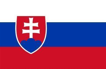 Представители Словацкой ассоциации встретятся с закарпатскими журналистами