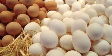 Для профилактики диабета второго типа следует потреблять яйца