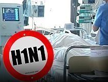 В Венгрии по-прежнему нет эпидемии свиного гриппа