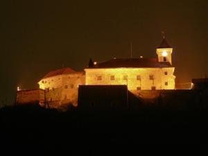 В Мукачевском замке "Паланок" можно наковать монетку на счастье