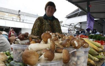 Как приготовить грибы, чтобы не отравиться