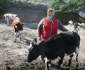 Прекрасная хозяйка Анна Минакова снабжает молочком и село, и город