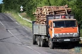 Автомобиль «КАМАЗ» с древесиной задержан для выяснения обстоятельств дела