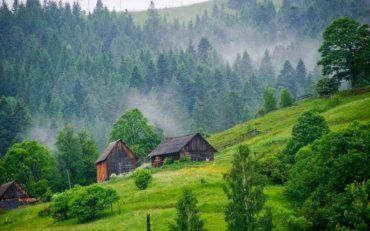 Карпатські ліси внесли до списку об'єктів ЮНЕСКО