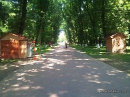 Иван Зарева открыл два уголовных производства по нарушениям в парках Ужгорода