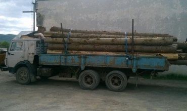 В Сваляве правоохранители задержали грузовик с древесиной без документов