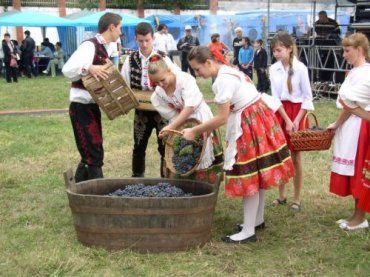 Ідея фестивалю "Берег-Фест" - відродження давніх народних традицій Берегівщини