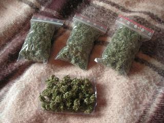 В доме нашли 28 граммов марихуаны и семена конопли весом 844 грамма