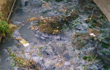 В Перечине есть небольшая речка, которая несет в Уж отходы химкомбината
