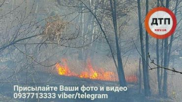 У Києві сталася масштабна пожежа. Загорілися Совські ставки