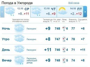 Весь день в Ужгороде будет пасмурно, вечером возможен небольшой дождь