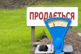 Яценюк выступил за продажу 1 миллиона гектаров земли