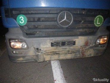 В Словакии фура Mercedes снесла с трассы 24 диких кабана