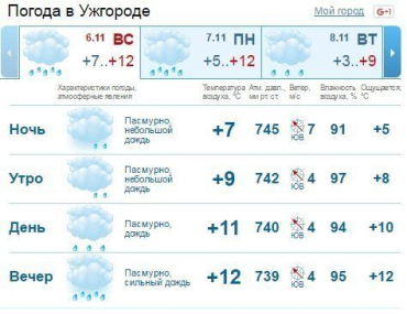 В Ужгороде сильный дождь начался с самого утра и будет продолжаться до вечера