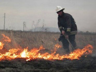 МЧС Закарпатья : за последствия выжигания сухой травы пора наказывать