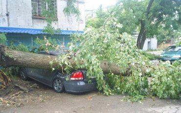На Луганщині бушувала потужна злива зі шквальним вітром