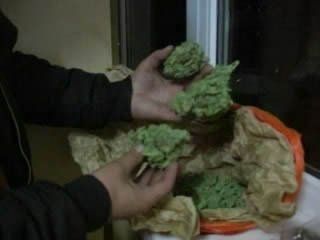 В Киевской области появилась элитная марихуана