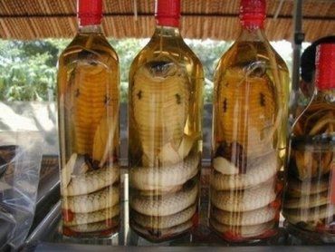 Змеиное вино впервые сделали во Вьетнаме