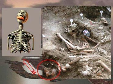 Ученые обнаружили скелет женщины-вампира