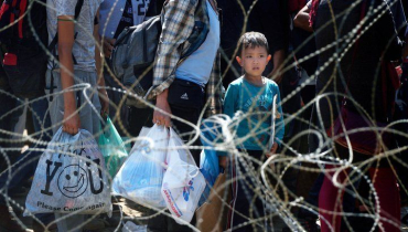 Венгрия отгородится от Румынии забором из-за наплыва мигрантов