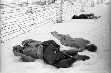 У концтаборі Аушвіц були знищені 1,1 млн людей