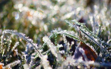 На ґрунті та місцями в повітрі очікуються заморозки 0-5 градусів