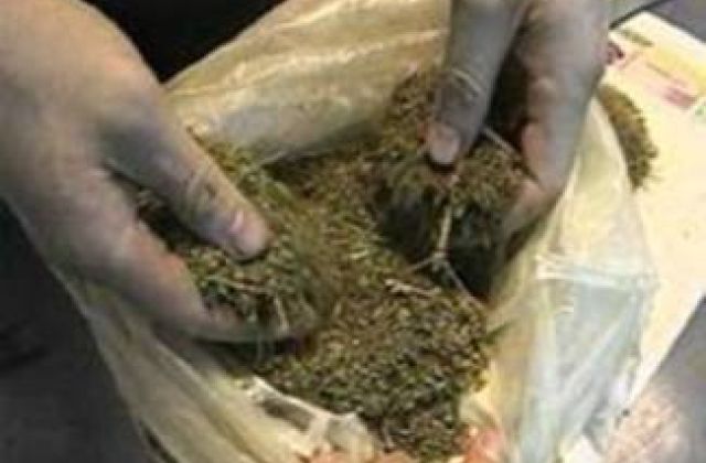 Контрабанды марихуаны украина конопля фото растаман