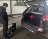 На КПП в Закарпатье пёс испортил планы оружейному контрабандисту 